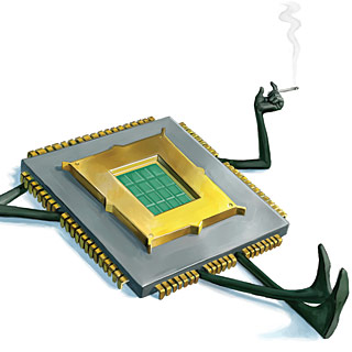 sex chip